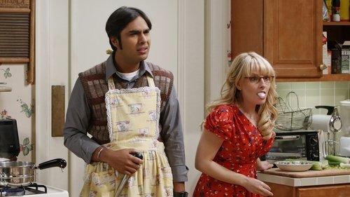 The Big Bang Theory Season 7 Episode 9 - The Thanksgiving Decoupling