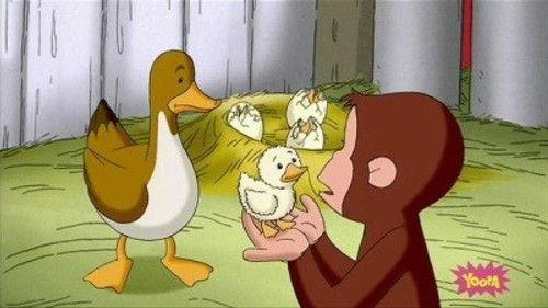 Curious George Season 5 Episode 2 - A Monkey's Duckling
