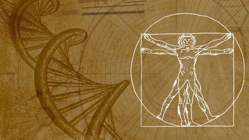 Inner Evolution Season 1 Episode 5 - Consciousness and the Body