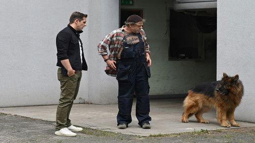 Komisarz Alex Season 20 Episode 5 - Episode 5