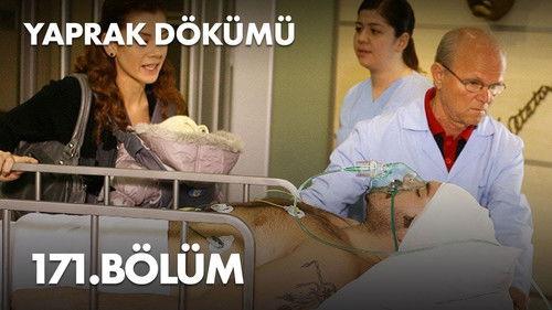 Falling Leaves Season 5 Episode 171 - Episode 171