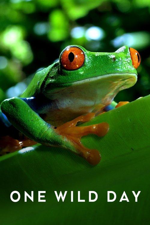 Extreme Animals: One Wild Day poster