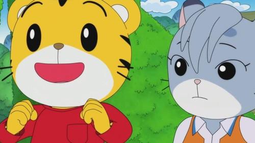 Shimajiro: A Wonderful Adventure Season 10 Episode 11 - Episode 11