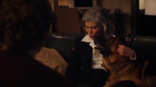 Hudson & Rex Season 6 Episode 15 - Wag the Dog