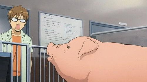 Silver Spoon Season 1 Episode 9 - Hachiken Hesitates Over Pork Bowl
