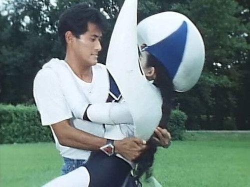 Chōjin Sentai Jetman Season 1 Episode 32 - Wings!! One More Time