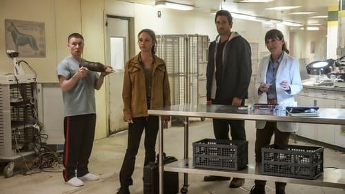 NCIS: Hawaiʻi Season 3 Episode 10 - Divided We Conquer (2)