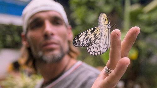 Bug Out Season 1 Episode 4 - Under the Magnifying Glass