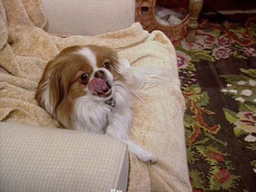 The Osbournes Season 1 Episode 2 - Bark at the Moon