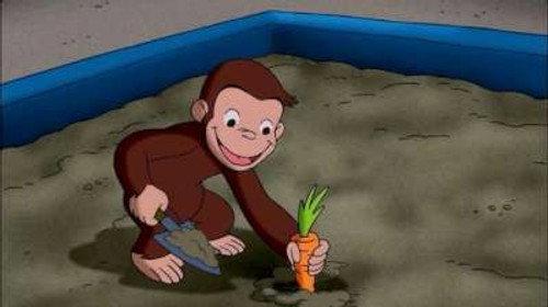 Curious George Season 2 Episode 18 - The Magic Garden