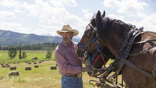 Heartland Season 7 Episode 5 - Thread the Needle