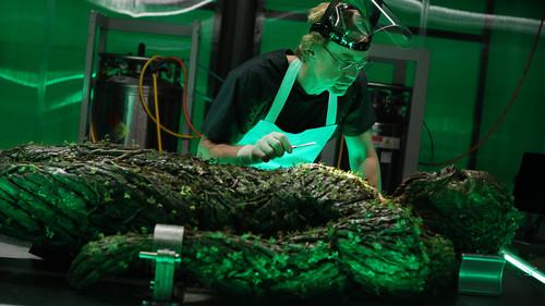 undefined Season 1 Episode 9 - The Anatomy Lesson