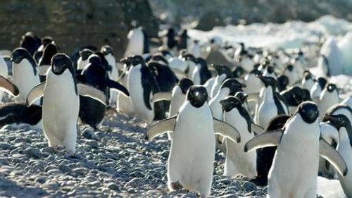 Tales by Light Season 1 Episode 5 - Panorama