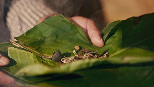 VICE News Tonight Season 6 Episode 1 - Wednesday, January 5, 2022