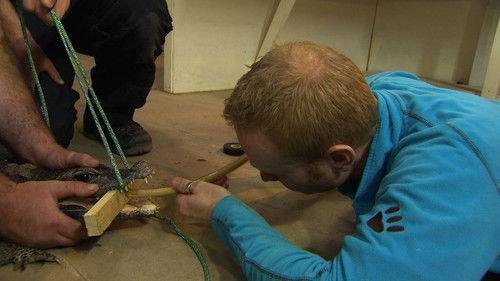 Dyrepasserne Season 3 Episode 11 - Episode 11