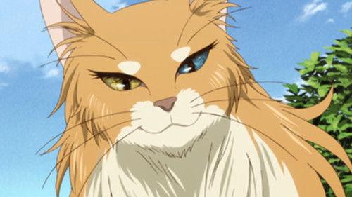 The Ancient Magus' Bride Season 1 Episode 4 - Everything must have a beginning.