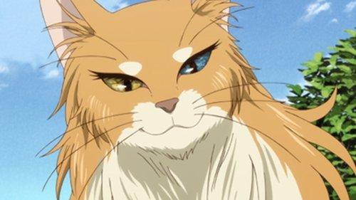 undefined Season 1 Episode 4 - Everything must have a beginning.