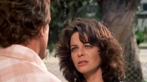 The Incredible Hulk Season 1 Episode 12 - The Waterfront Story