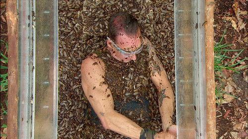 Ich bin ein Star – Holt mich hier raus! Season 8 Episode 11 - Episode 11