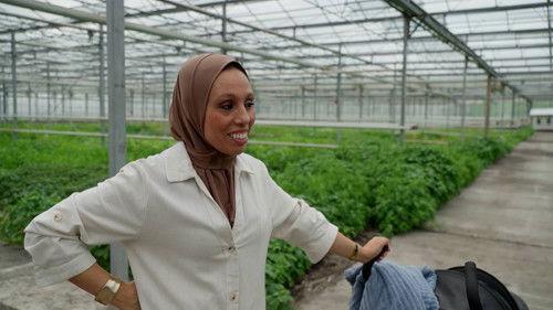 Een Huis Vol Season 21 Episode 4 - Episode 4