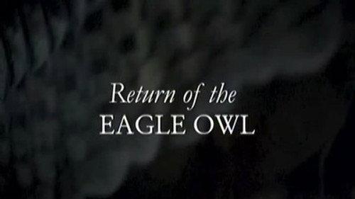 Natural World Season 24 Episode 5 - Return Of The Eagle Owl