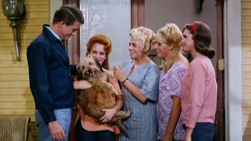 Petticoat Junction Season 4 Episode 16 - His Highness the Dog