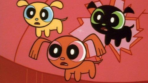 undefined Season 1 Episode 1 - Monkey See, Doggie Do