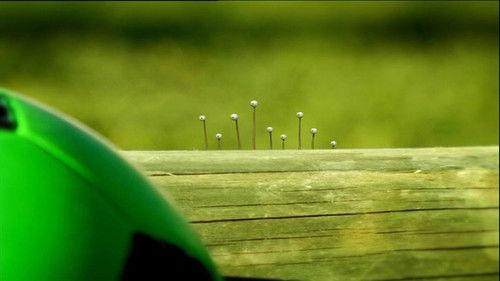 Minuscule: The Private Life of Insects Season 1 Episode 51 - A Rolling Snail Gathers No Moss