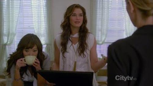 Lipstick Jungle Season 2 Episode 11 - Chapter Eighteen: Indecent Exposure