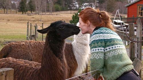 Der ingen skulle tru at nokon kunne bu Season 19 Episode 4 - Episode 4