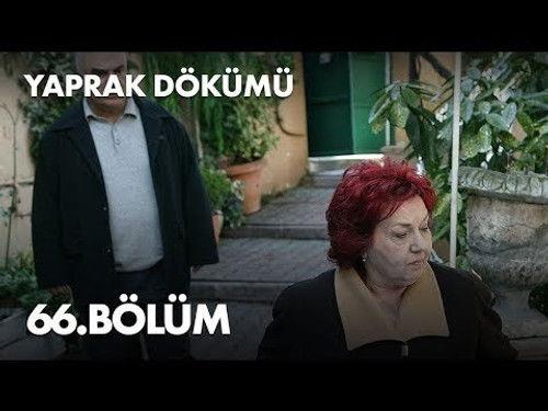 Falling Leaves Season 2 Episode 66 - Episode 66