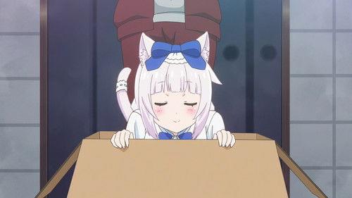 Nekopara Season 1 Episode 10 - Oh No! Bell Renewal Exams