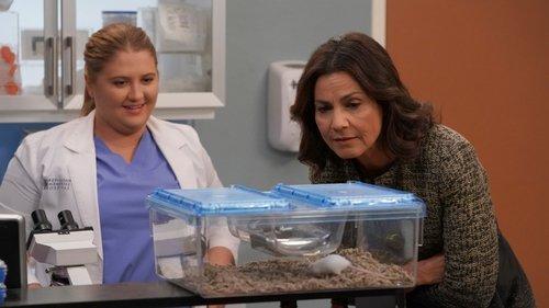 Grey's Anatomy Season 14 Episode 14 - Games People Play