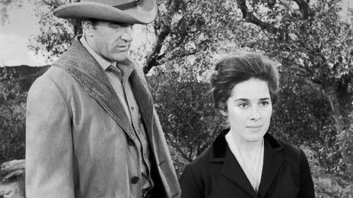 undefined Season 7 Episode 25 - The Widow