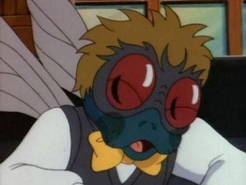 Teenage Mutant Ninja Turtles Season 3 Episode 22 - Return of the Fly