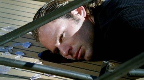 CSI: NY Season 6 Episode 8 - Cuckoo's Nest