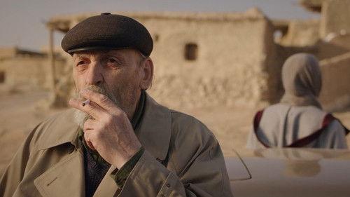 Lily's Turn Season 1 Episode 14 - Episode 14