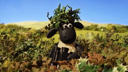 Shaun the Sheep Season 4 Episode 23 - Bitzer's Secret