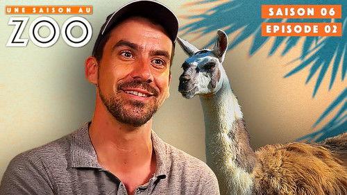 Une saison au zoo Season 6 Episode 2 - Episode 2