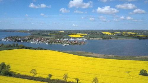 mare TV Season 21 Episode 19 - Episode 19