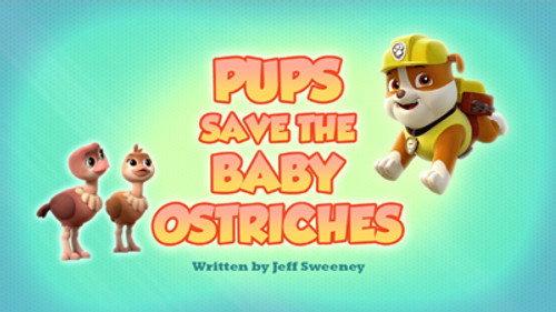 PAW Patrol Season 6 Episode 12 - Pups Save the Baby Ostriches