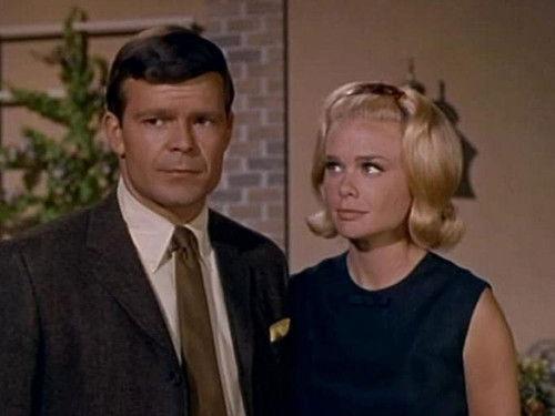 Hazel Season 5 Episode 4 - Do Not Disturb Occupants