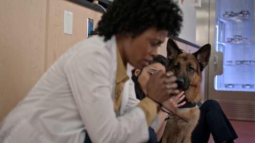 undefined Season 1 Episode 7 - Trial and Error