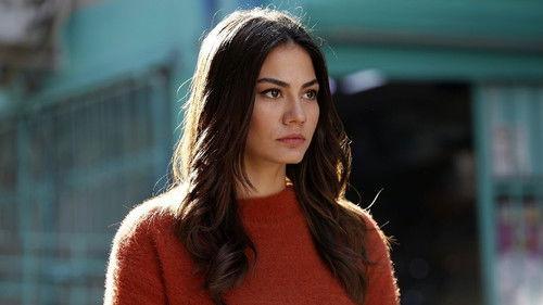 My Home My Destiny Season 1 Episode 1 - Episode 1