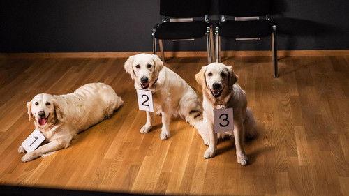 Hubert und Staller Season 10 Episode 13 - Episode 13