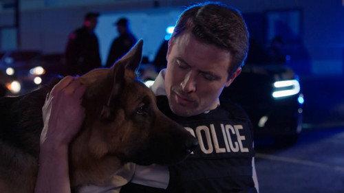 Hudson & Rex Season 2 Episode 1 - Man of Consequences