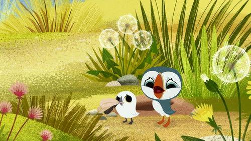 Puffin Rock Season 1 Episode 6 - A Feather Bed