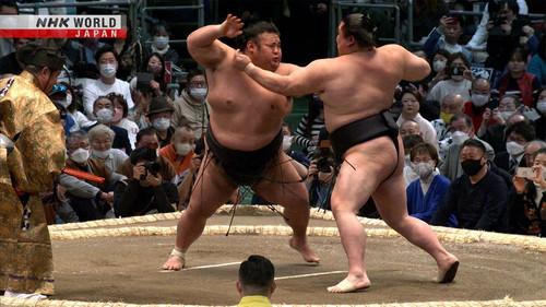 GRAND SUMO Highlights Season 16 Episode 3 - Day 3