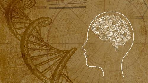 Inner Evolution Season 1 Episode 13 - Conscious Evolution