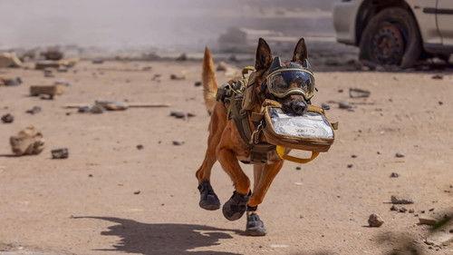 Dark Hearts Season 2 Episode 3 - Episode 3